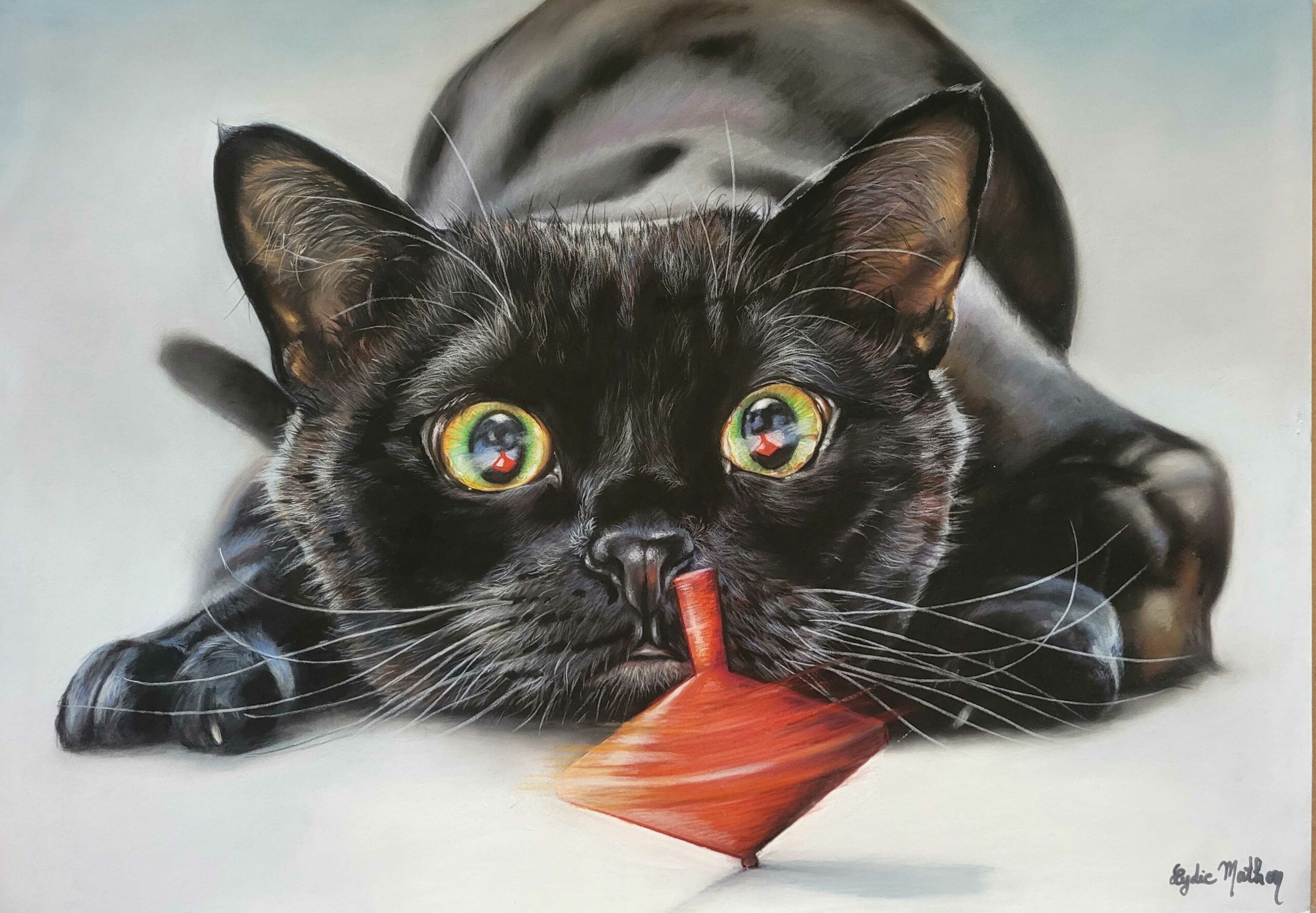 Chat à la toupie, 1er prix du concours "l'équilibre en mouvement".