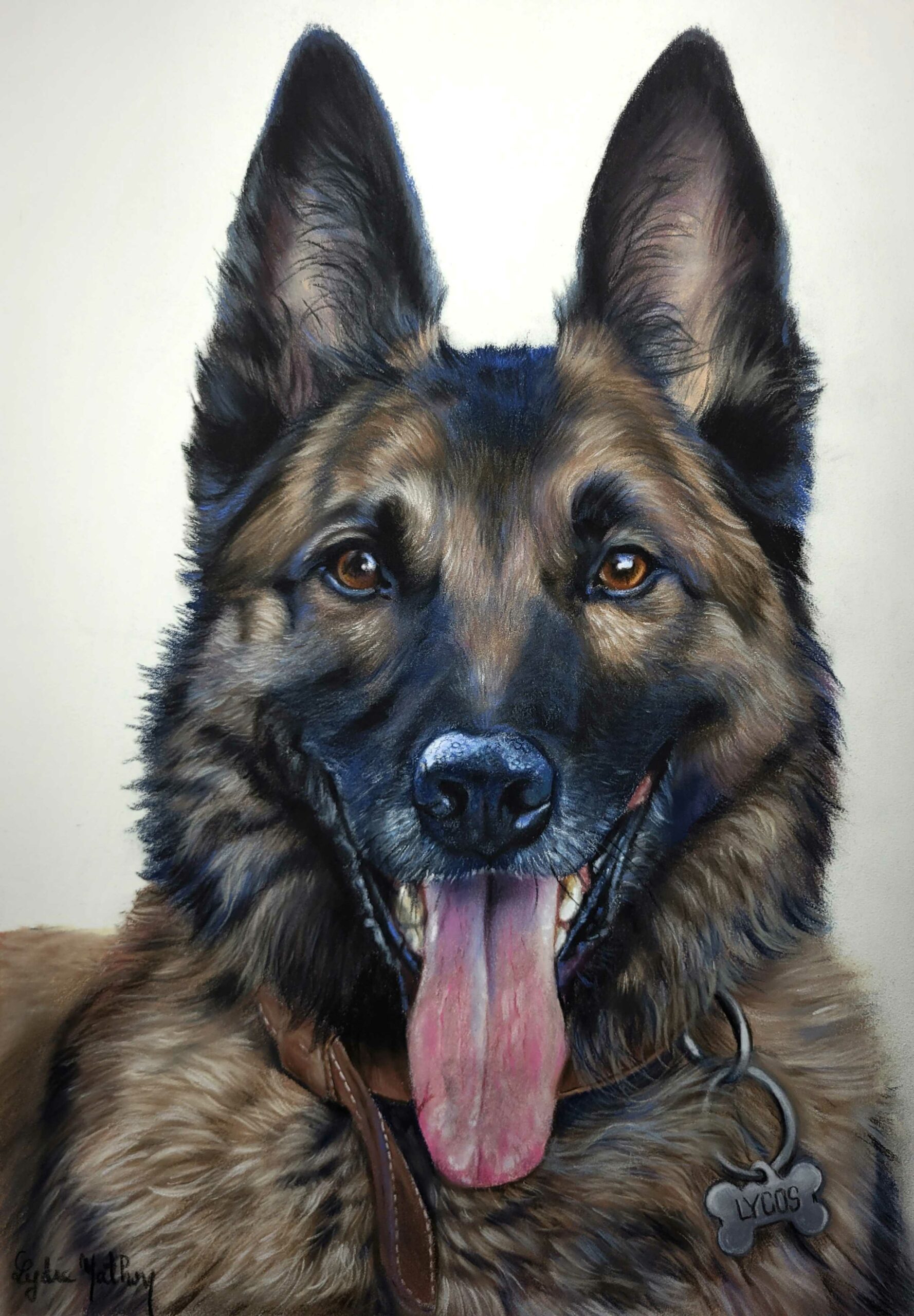 Lycos le malinois fait au pastel sec d'après photo par Lydie Mathon art
