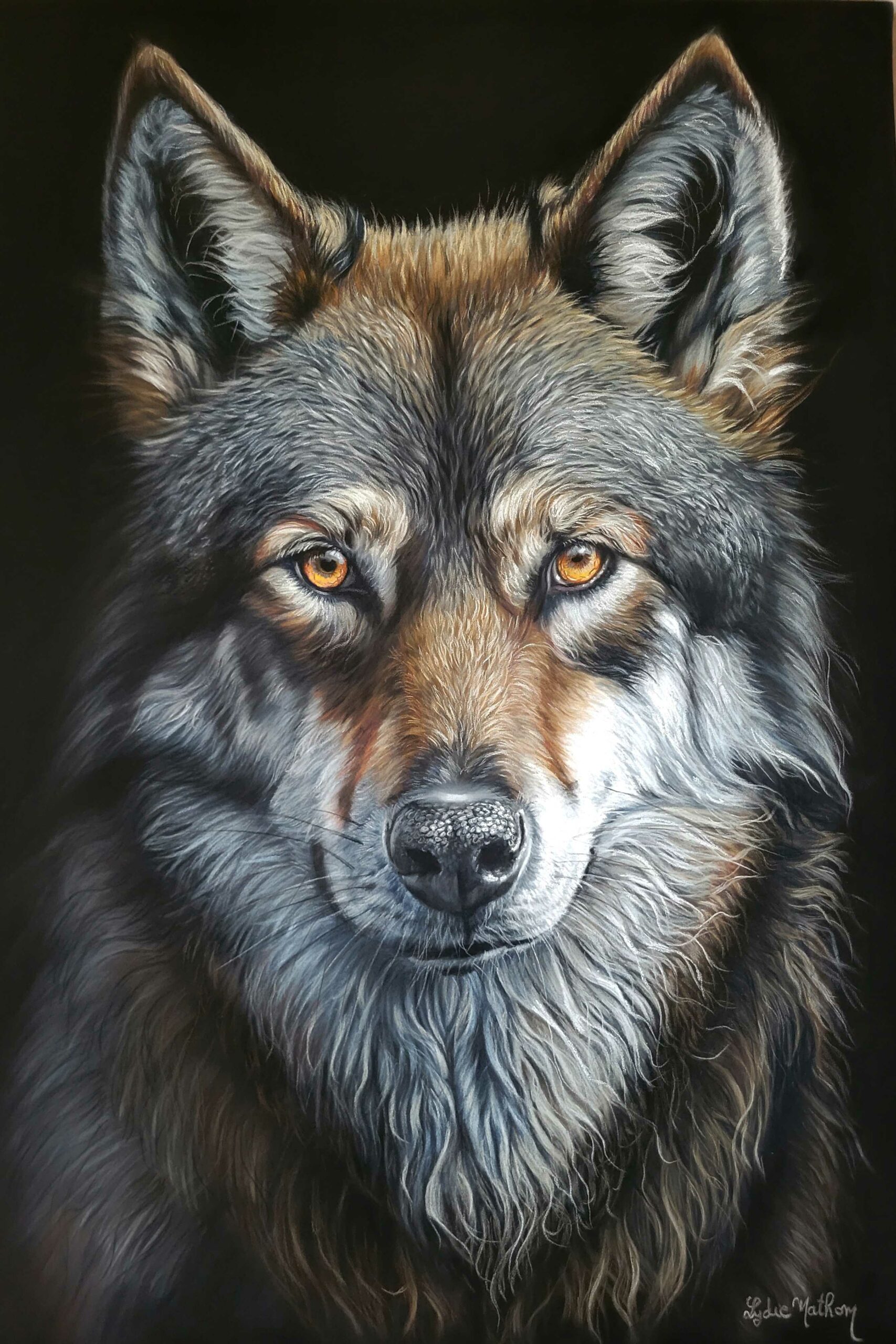 Lycos le malinois fait au pastel sec d'après photo par Lydie Mathon art