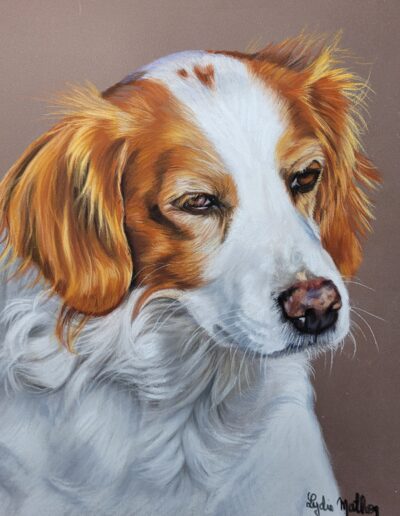 En mémoire de Holie