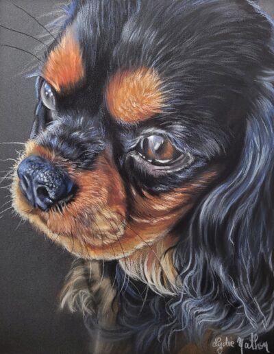 Dessin portrait chien