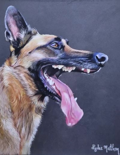 portrait d'un chine au dessin pastel