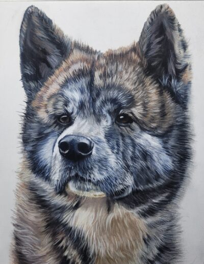 Dessin chien pastel sec, portrait sur commande