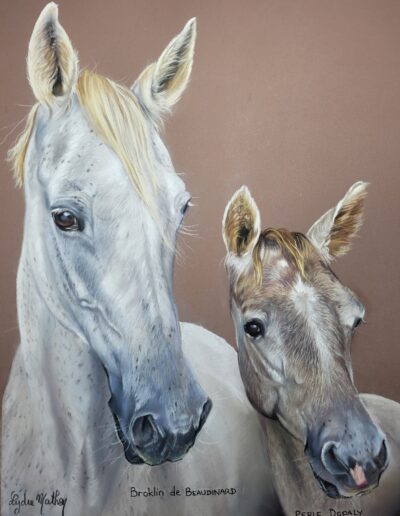 Portrait d'une jument et son poulain au pastel sec