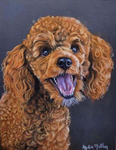 Portrait d'un caniche au pastel sec fait par lydie mathon portrait animalier sur commande