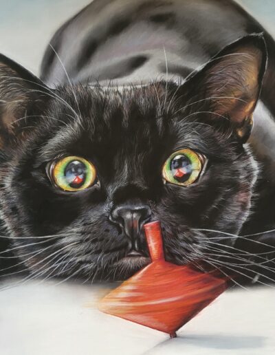 portrait chat pastel sec lydie mathon art